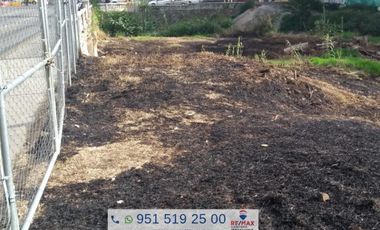 TERRENO EN RENTA SOBRE LA AVENIDA PORFIRIO DIAZ - (3)
