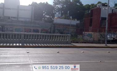TERRENO EN RENTA SOBRE LA AVENIDA PORFIRIO DIAZ - (3)