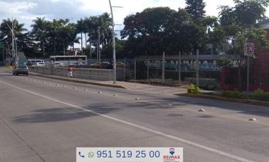 TERRENO EN RENTA SOBRE LA AVENIDA PORFIRIO DIAZ - (3)