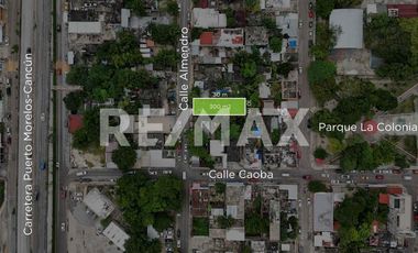 Terreno en Venta en Puerto Morelos  - (3)