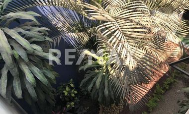 EDIFICIO COMERCIAL EN RENTA CON MAGNIFICA UBICACION - (3)