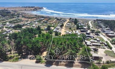 Pichilemu, Excelente Oportunidad Comercial en Punta de Lobos