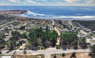Pichilemu, Excelente Oportunidad Comercial en Punta de Lobos