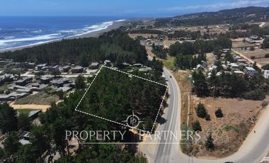Pichilemu, Excelente Oportunidad Comercial en Punta de Lobos