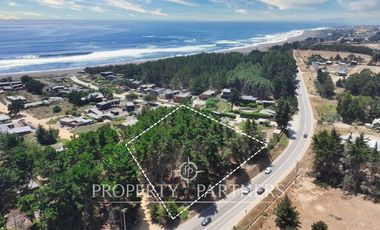 Pichilemu, Excelente Oportunidad Comercial en Punta de Lobos