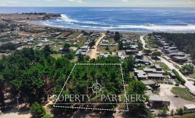 Pichilemu, Excelente Oportunidad Comercial en Punta de Lobos