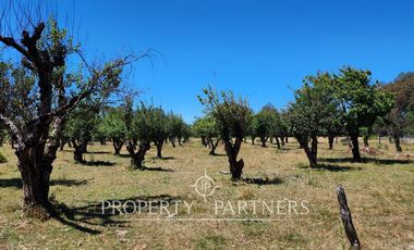 Condominio Río Cruces