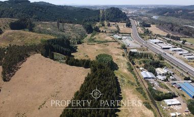 En venta fundo Los Palamos, Pillanlelbun
