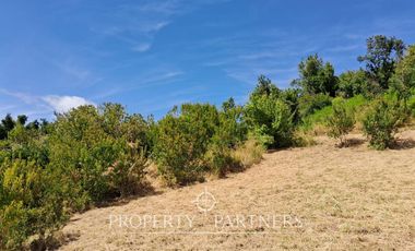 Sitio con vista en Futrono