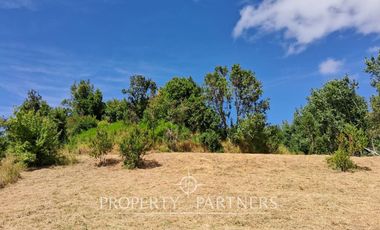 Sitio con vista en Futrono