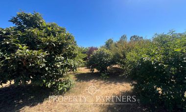 Hermosa parcela con casa estilo español en Huertos de Chile, Santo Domingo.