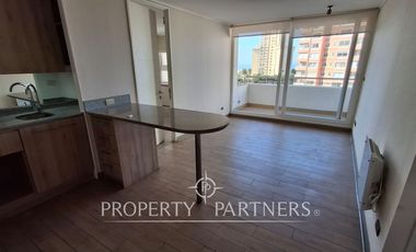 Estupendo departamento en arriendo en Costa de Montemar 2 dormitorios y 2 ventas