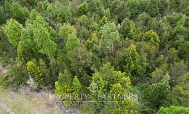Hermosa parcela camino a Ensenada, sector Colonia Tres Puentes
