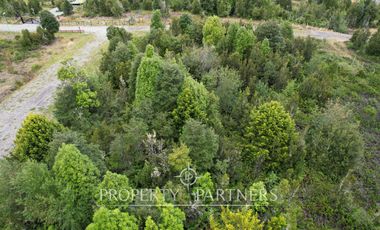 Hermosa parcela camino a Ensenada, sector Colonia Tres Puentes
