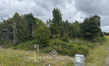 Hermosa parcela camino a Ensenada, sector Colonia Tres Puentes