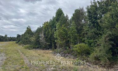 Hermosa parcela camino a Ensenada, sector Colonia Tres Puentes