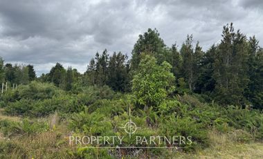 Hermosa parcela camino a Ensenada, sector Colonia Tres Puentes