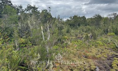 Hermosa parcela camino a Ensenada, sector Colonia Tres Puentes, Puerto Varas