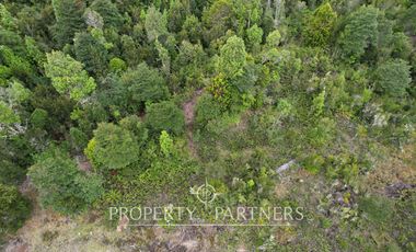 Hermosa parcela camino a Ensenada, sector Colonia Tres Puentes, Puerto Varas