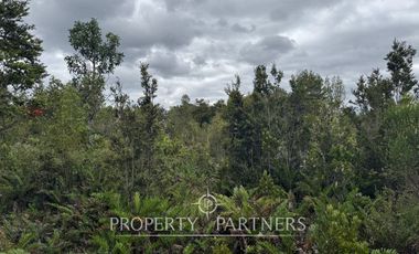 Hermosa parcela camino a Ensenada, sector Colonia Tres Puentes, Puerto Varas