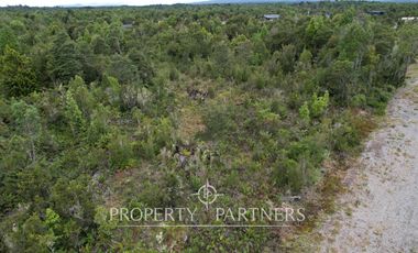 Hermosa parcela camino a Ensenada, sector Colonia Tres Puentes, Puerto Varas