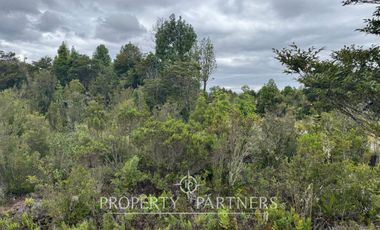 Hermosa parcela camino a Ensenada, sector Colonia Tres Puentes, Puerto Varas