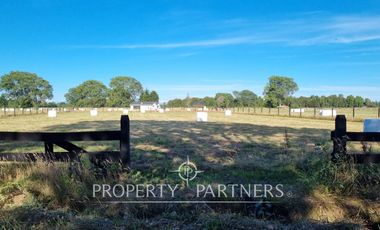 Parcela en venta «Praderas de Frutillar»