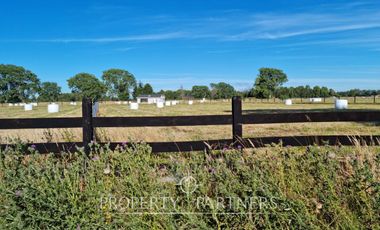 Parcela en venta «Praderas de Frutillar»