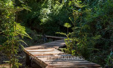 Linda parcela con vista al volcán en la «Reserva de Frutillar»