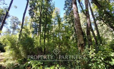 Gran parcela con bosque nativo