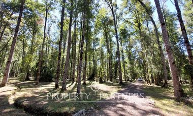 Gran parcela con bosque nativo