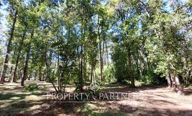 Gran parcela con bosque nativo