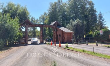 Gran parcela con bosque nativo