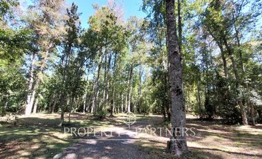 Gran parcela con bosque nativo