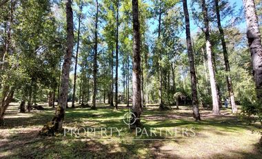Gran parcela con bosque nativo