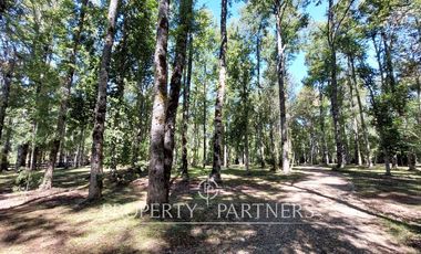 Gran parcela con bosque nativo