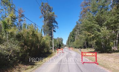 Gran parcela con bosque nativo