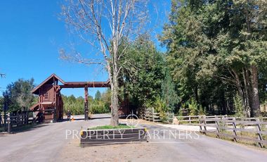 Gran parcela con bosque nativo