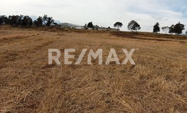 Venta - Terreno, Zinacantepec, San Luis Mextepec - (3)