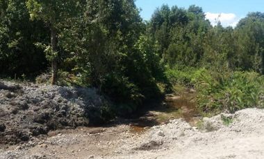 Parcela de agrado con bosque nativo, parcelación «Maderos de Puerto Varas»