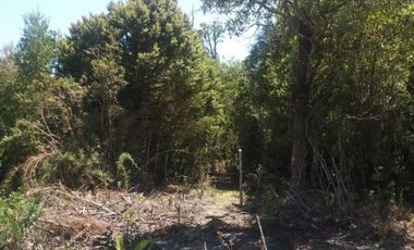 Parcela de agrado con bosque nativo, parcelación «Maderos de Puerto Varas»