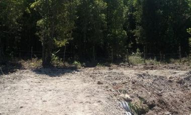 Parcela de agrado con bosque nativo, parcelación «Maderos de Puerto Varas»