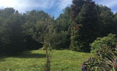 Arriendo casa en parcela, camino Ensenada, Puerto Varas