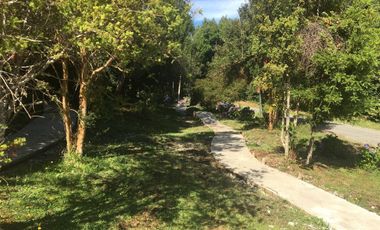Arriendo casa en parcela, camino Ensenada, Puerto Varas