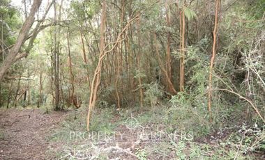 Terreno de 7,2 ha con orilla de río y estero, oportunidad para inversión