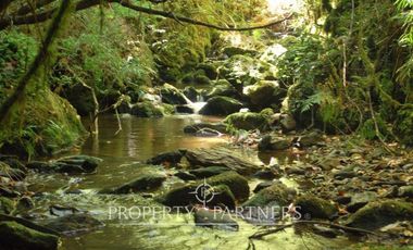 2.000 has. de conservación / reserva natural de alto valor ecológico