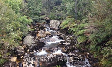2.000 has. de conservación / reserva natural de alto valor ecológico