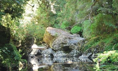 2.000 has. de conservación / reserva natural de alto valor ecológico