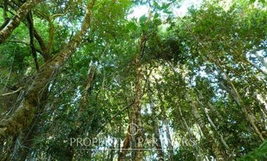 2.000 has. de conservación / reserva natural de alto valor ecológico