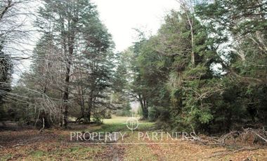 2.000 has. de conservación / reserva natural de alto valor ecológico